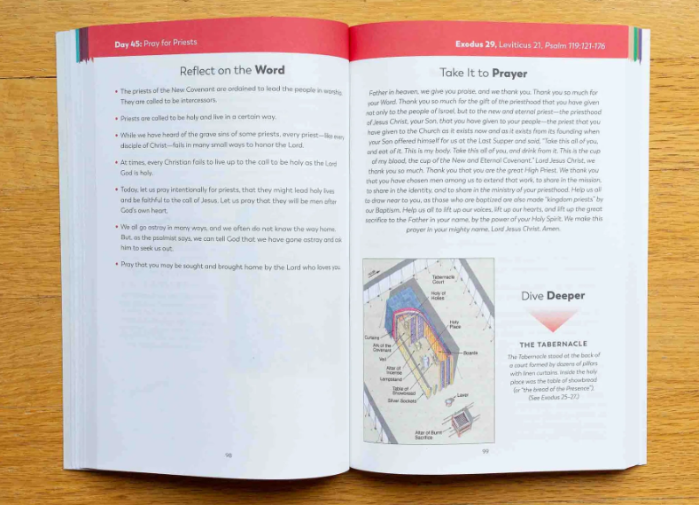The Bible in a Year Companion, Volume I