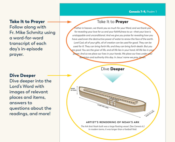 The Bible in a Year Companion, Volume II
