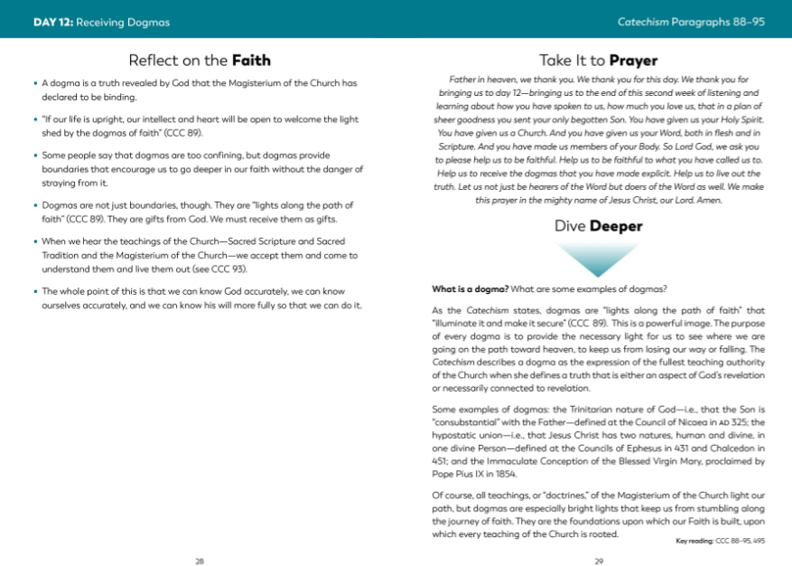 The Catechism in a Year Companion, Volume I