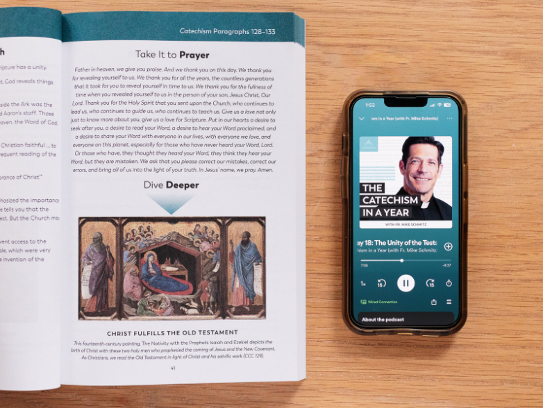 The Catechism in a Year Companion, Volume I