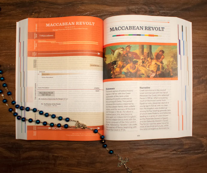 Holy Bible – The Great Adventure Catholic Bible, Paperback Edition