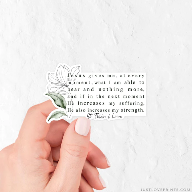 Jesus Gives Me Vinyl Sticker