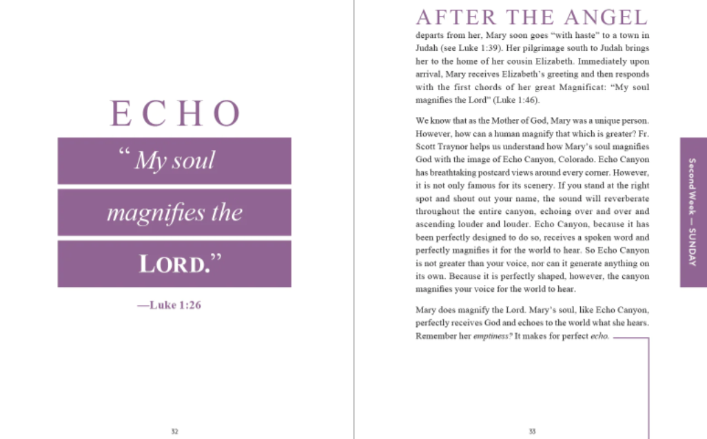 Rejoice! Advent Meditations with Mary, Journal