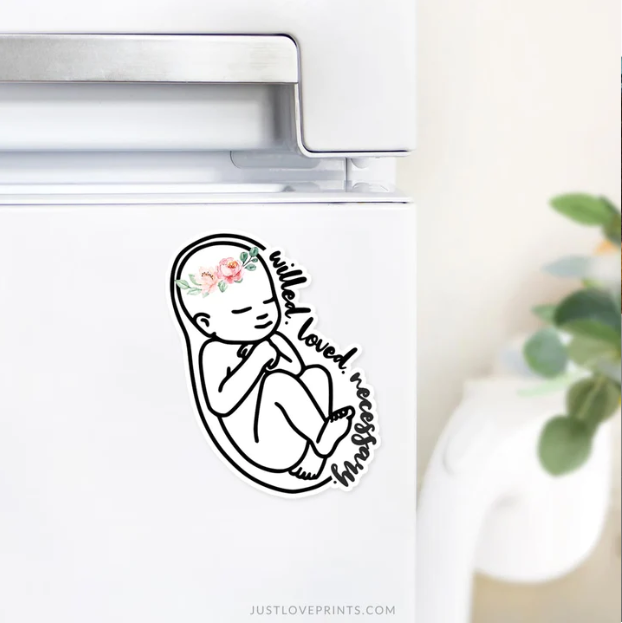 Pro-Life Baby Car Magnet