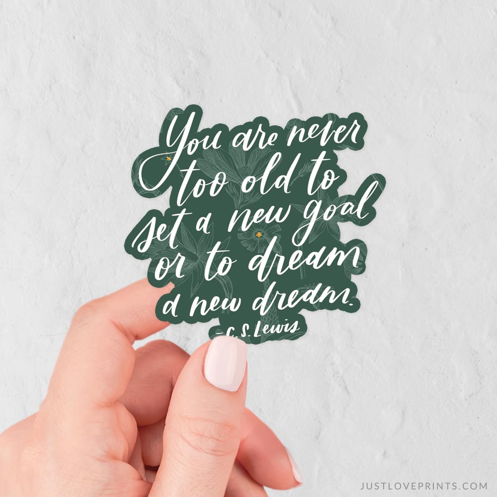 Dream a New Dream Vinyl Sticker