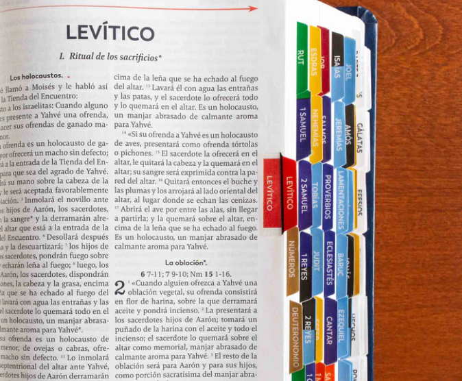 Great Adventure Catholic Bible Indexing Tabs (Spanish)