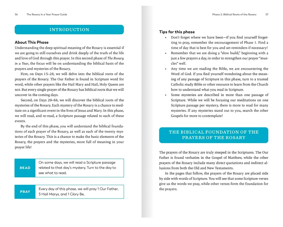 The Rosary in a Year Prayer Guide