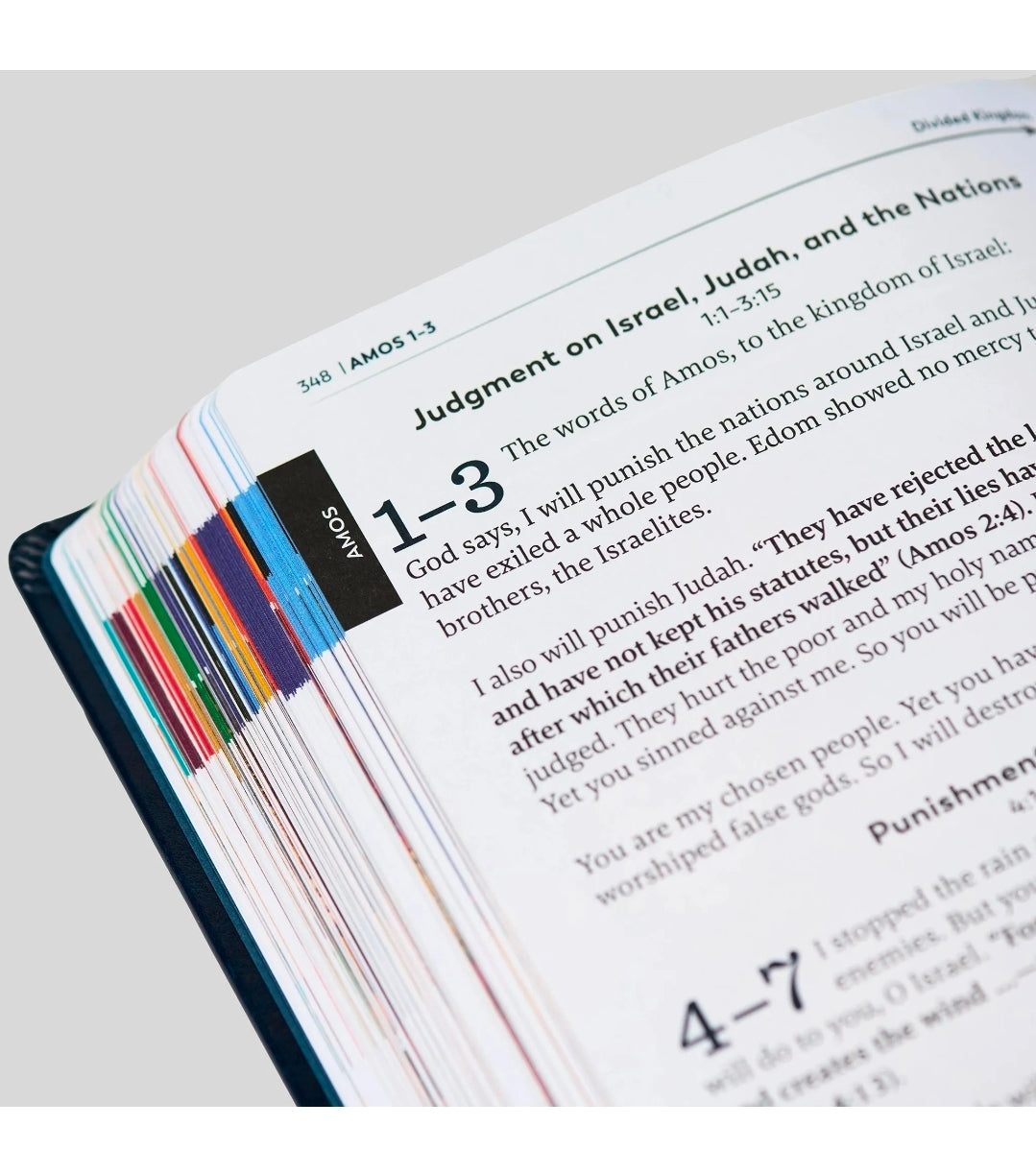 The Great Adventure Catholic Bible for Young Beginners