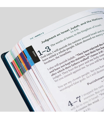 The Great Adventure Catholic Bible for Young Beginners