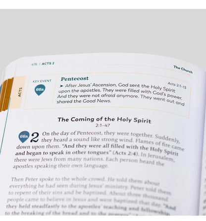 The Great Adventure Catholic Bible for Young Beginners