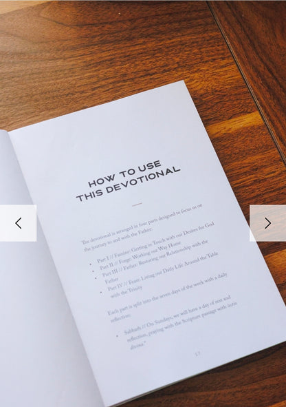 Feast: A Catholic Men's Devotional on the Prodigal Son